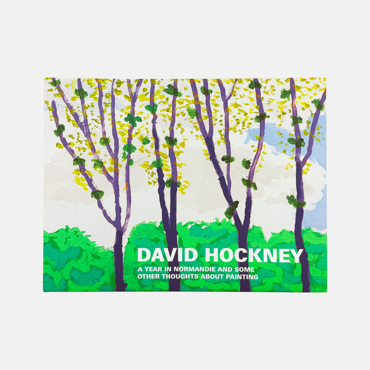 A Year in Normandie and Some Other Thoughts about Painting - David Hockney