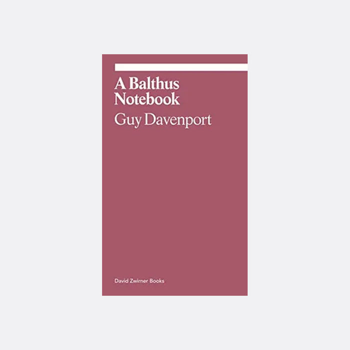 A Balthus Notebook (Ekphrasis Collection)