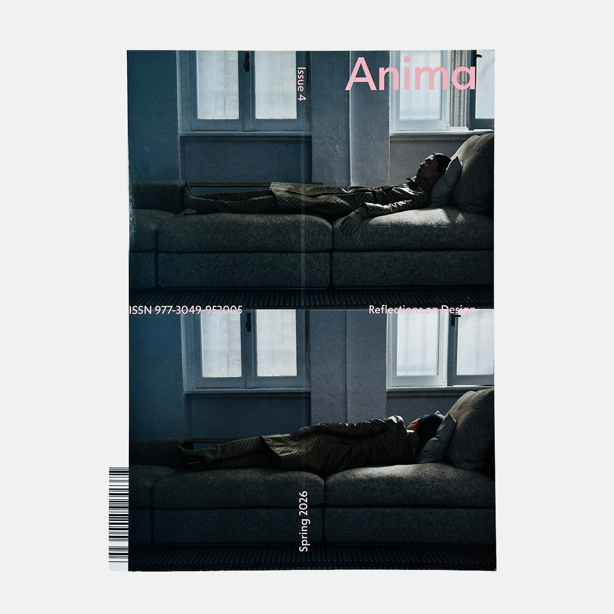 Anima #4 - Reflections on Design