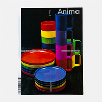 Anima #4 - Reflections on Design