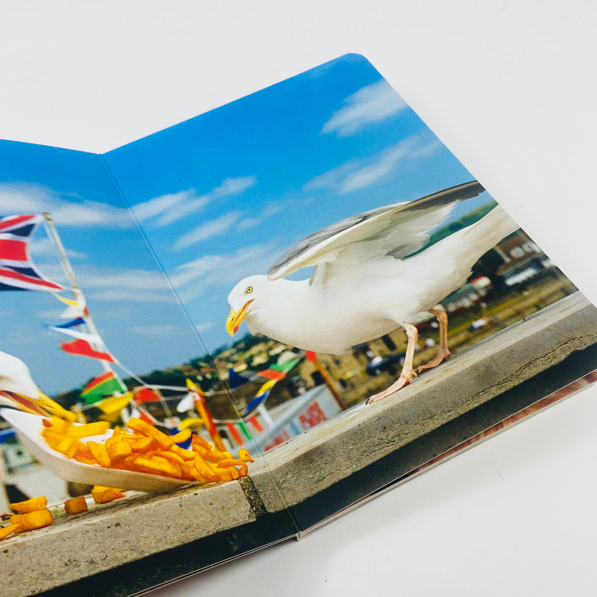 Animals - Martin Parr