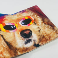 Animals - Martin Parr