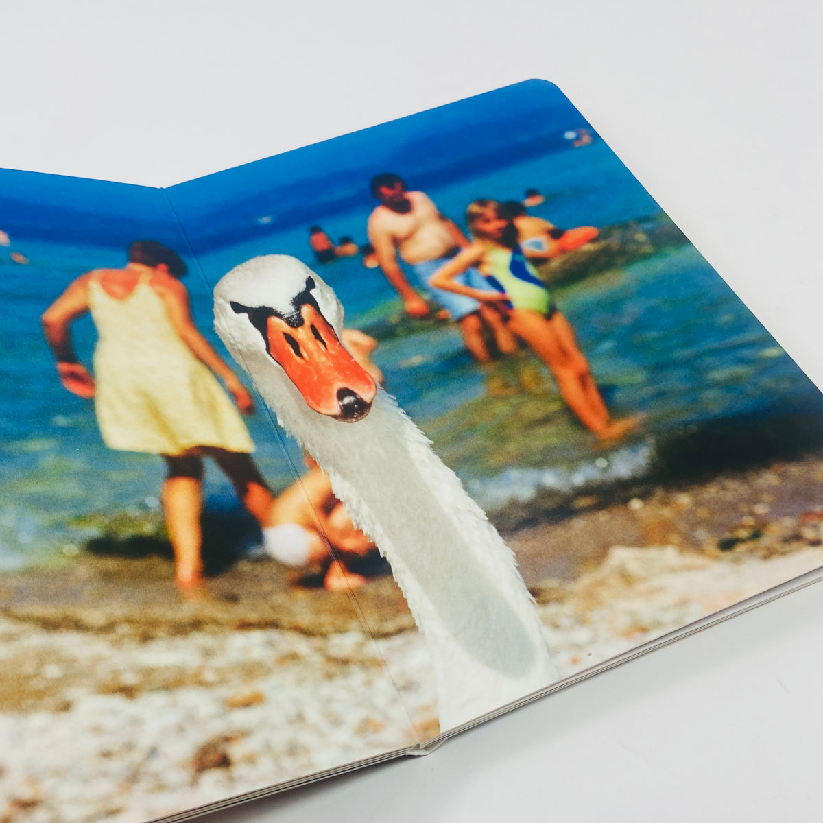 Animals - Martin Parr