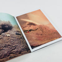 Archaeology of a Carpet - Stephen McCoy (Signed Copy)
