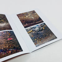 Archaeology of a Carpet - Stephen McCoy (Signed Copy)