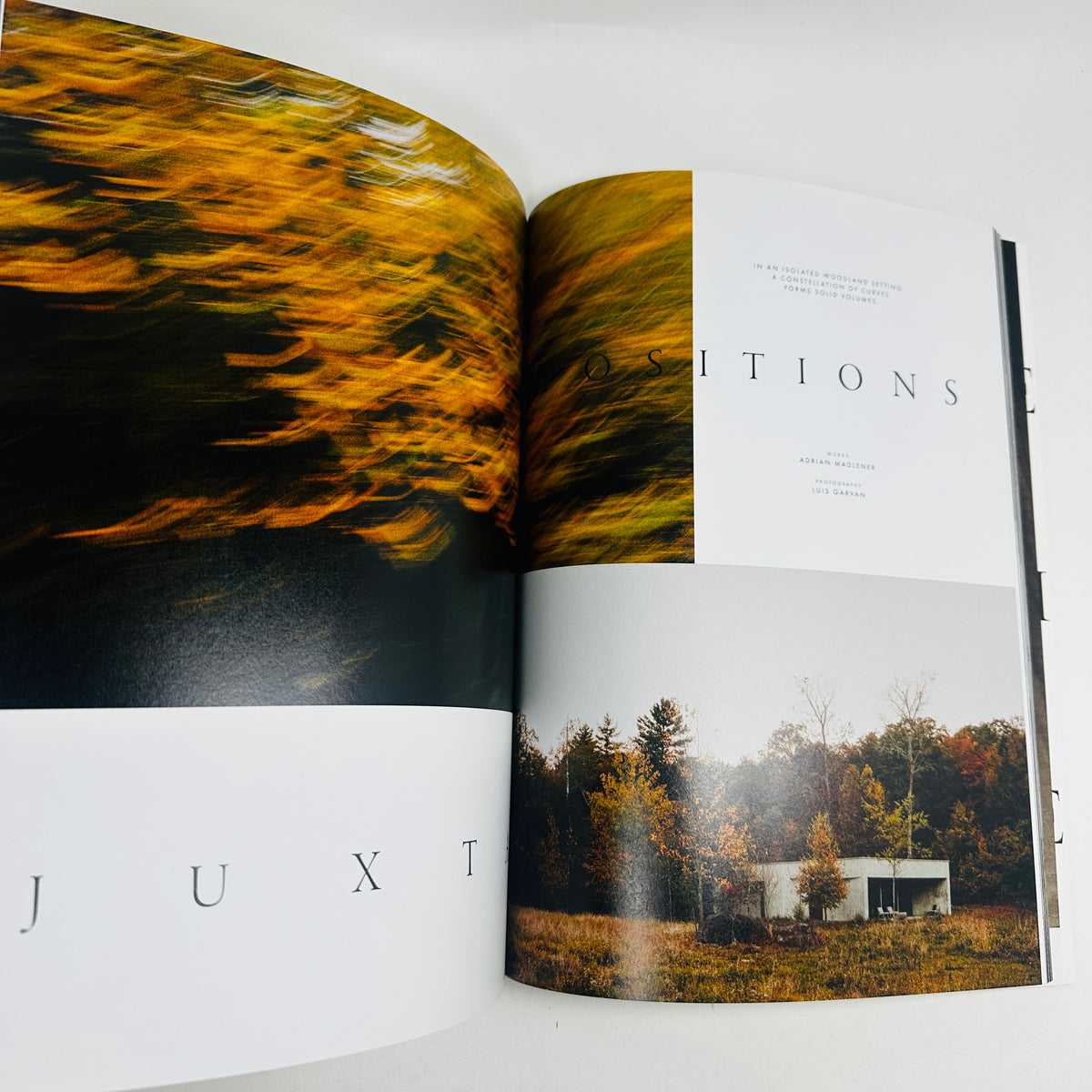 Ark Journal #15 - Self Portraits