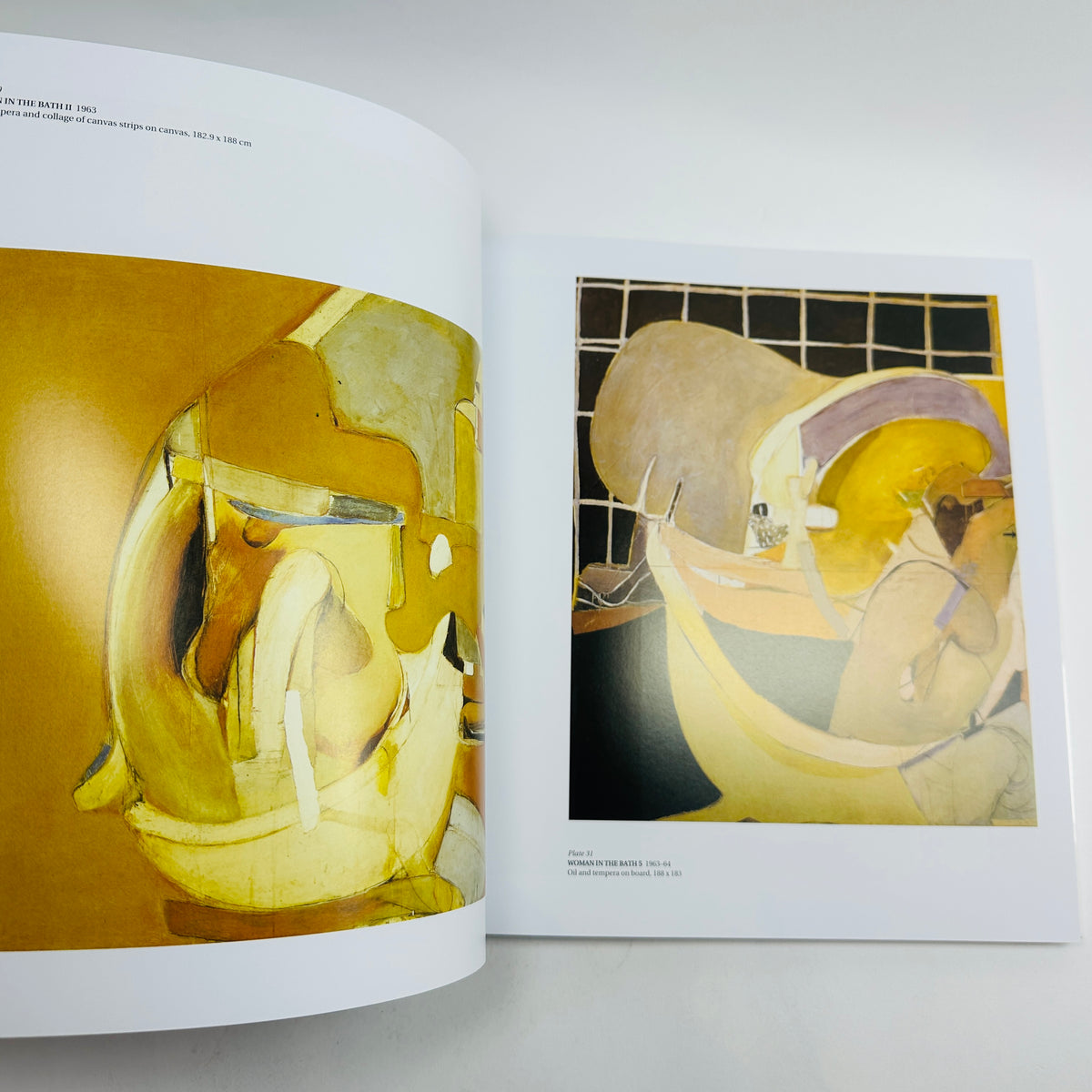 Art & Life - Brett Whiteley
