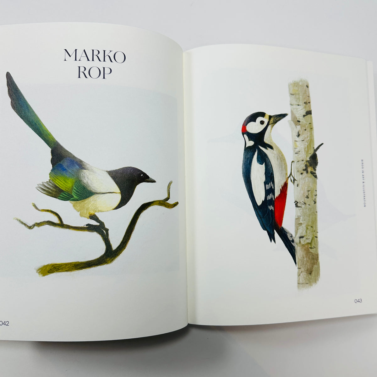 Avian Inspiration - Birds In Art And Illustration