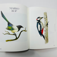 Avian Inspiration - Birds In Art And Illustration