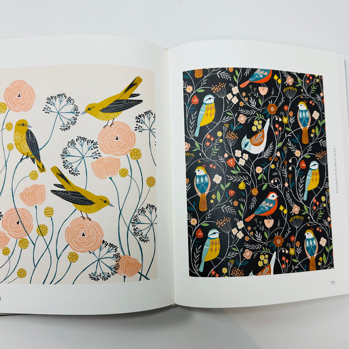 Avian Inspiration - Birds In Art And Illustration