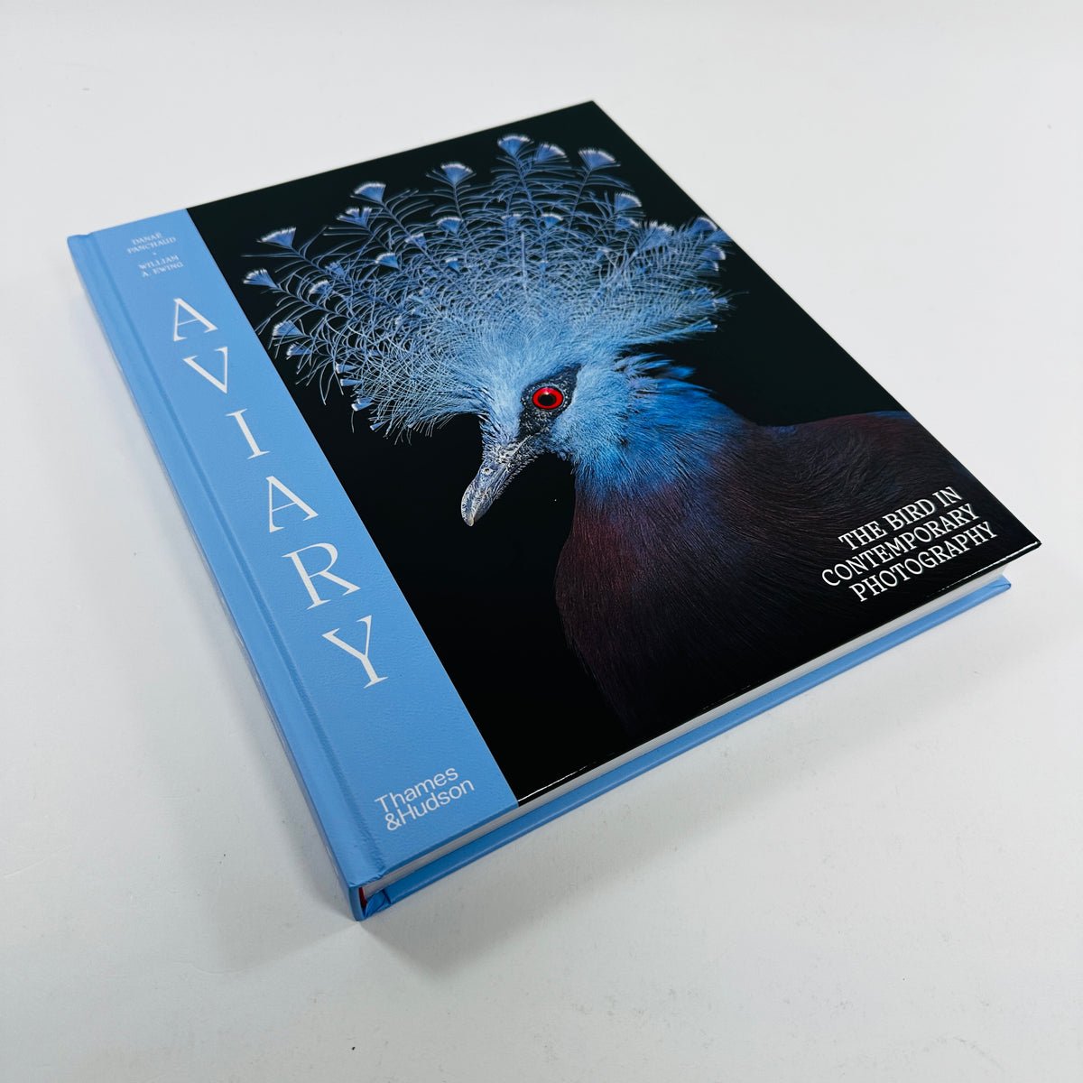 Aviary - The Bird in Contemporary Photography