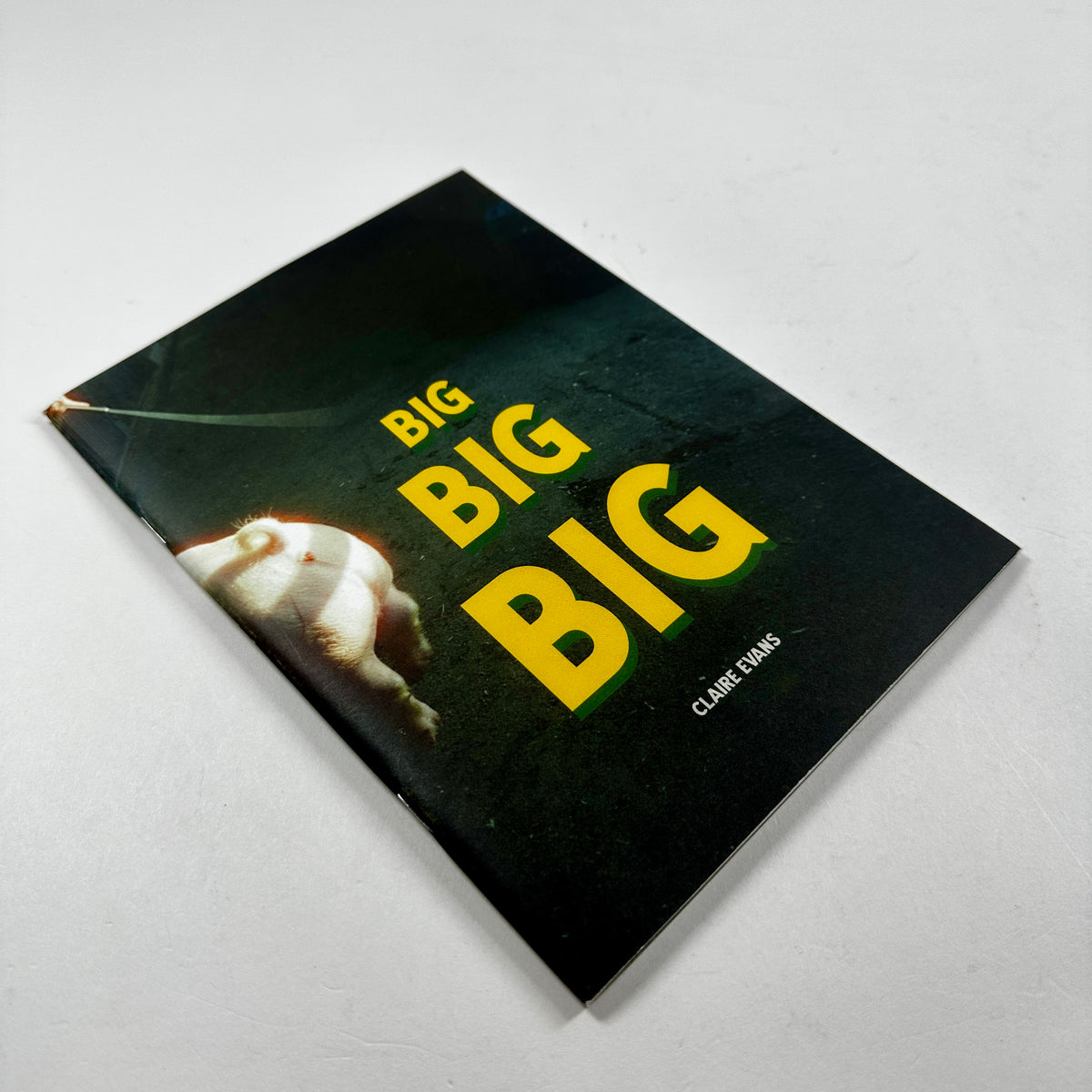 Big Big Big - Claire Evans
