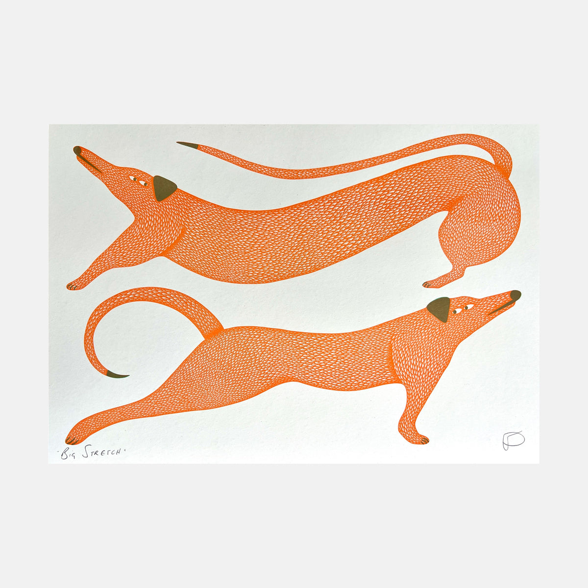 Big Stretch A3 Print - Strangford Card