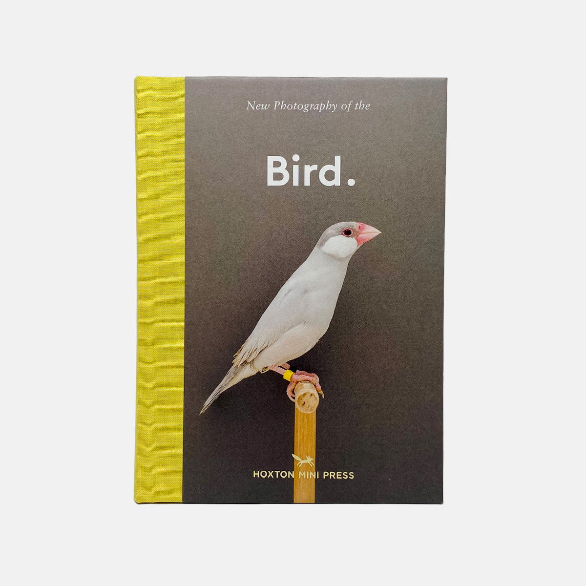 New Photography Of The Bird