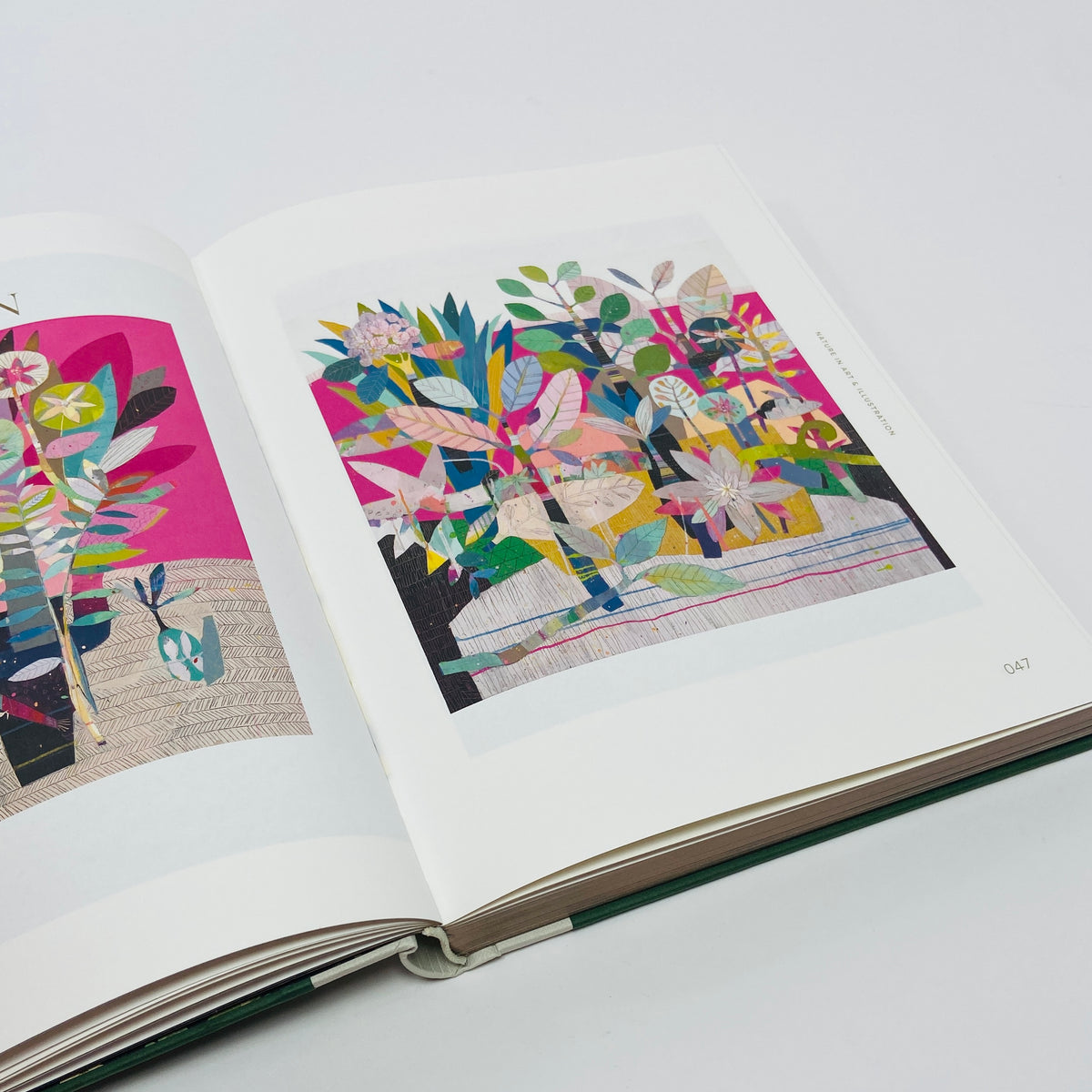 Botanical Inspiration - Nature In Art and Illustration