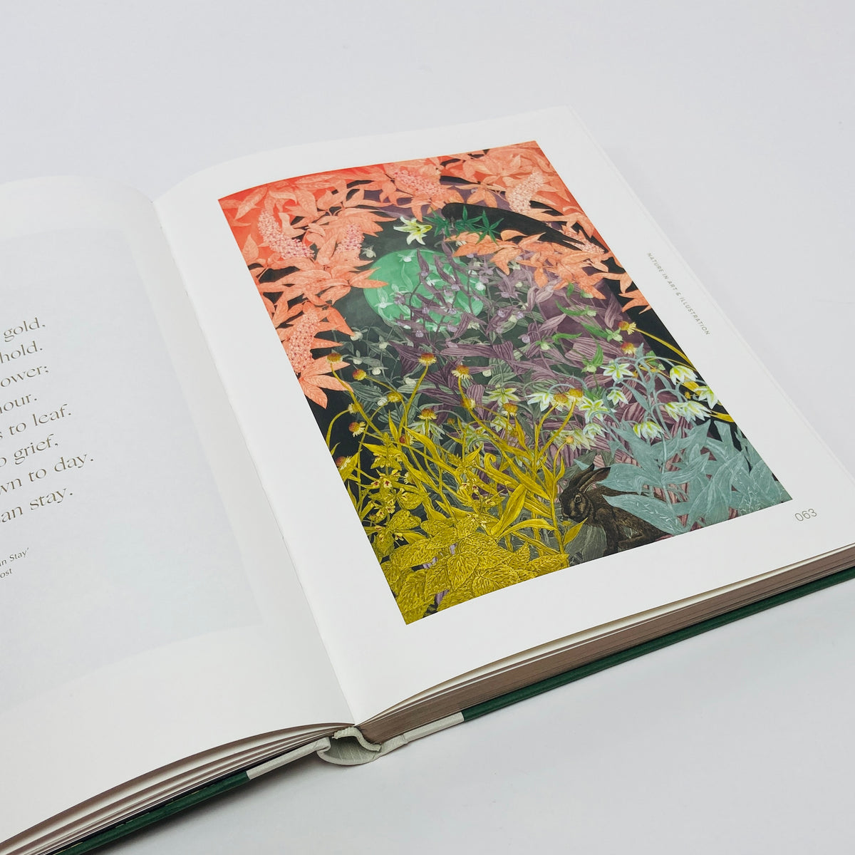 Botanical Inspiration - Nature In Art and Illustration