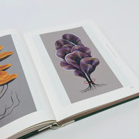 Botanical Inspiration - Nature In Art and Illustration