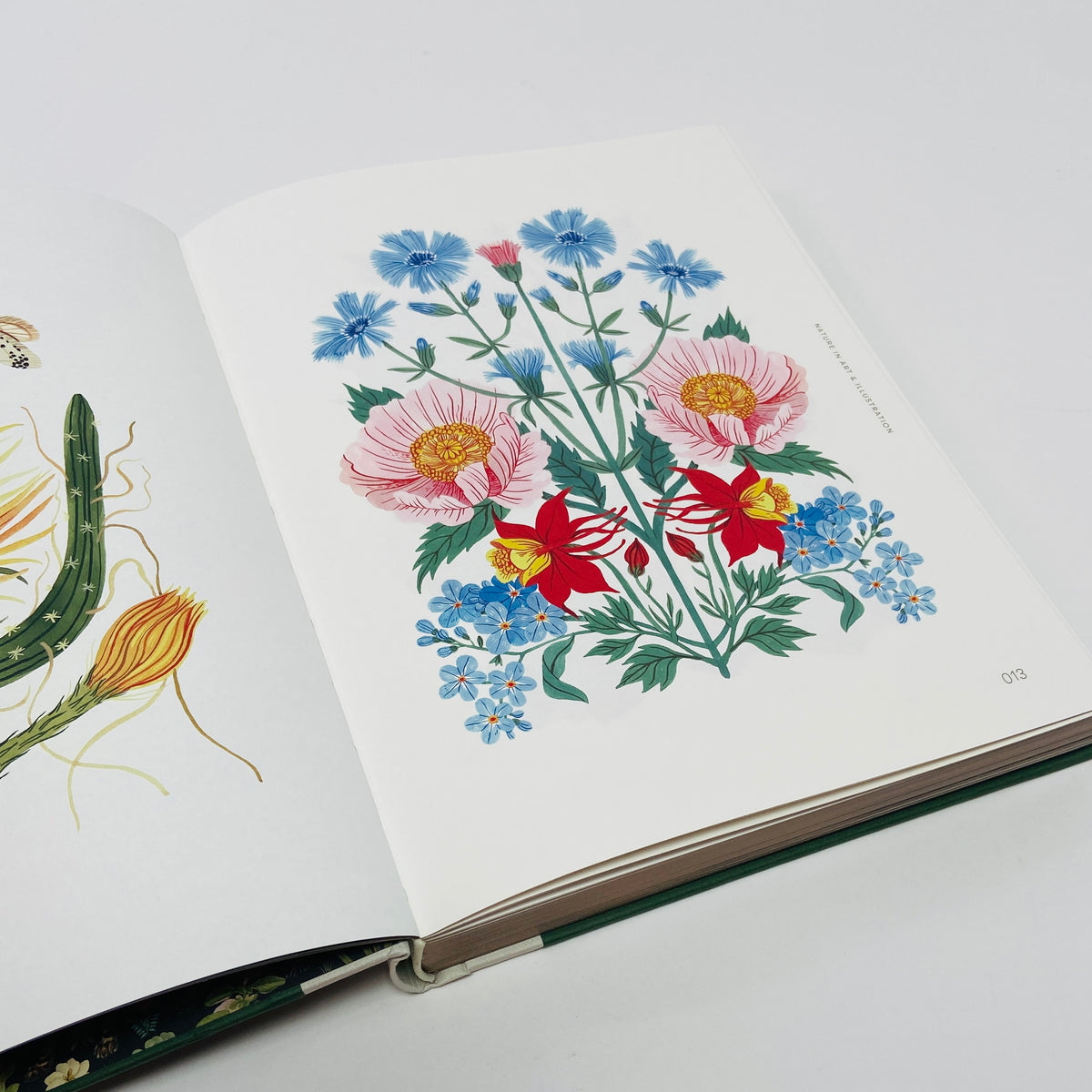 Botanical Inspiration - Nature In Art and Illustration