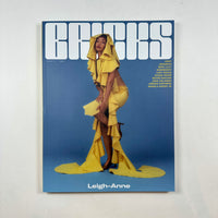 Bricks #15