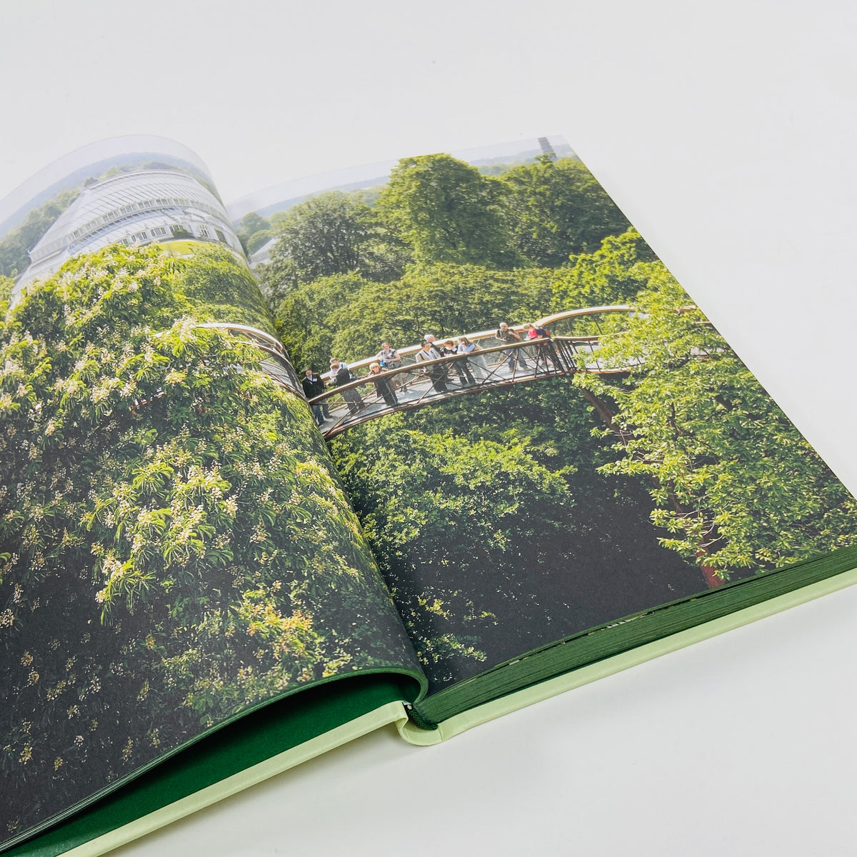 Britain's Best Gardens