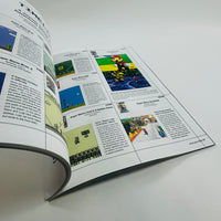 Casa Brutus - Super Mario Bros. and Design
