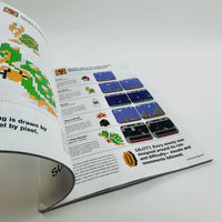 Casa Brutus - Super Mario Bros. and Design
