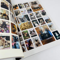 Catnip #1 - A Magazine For Cat People