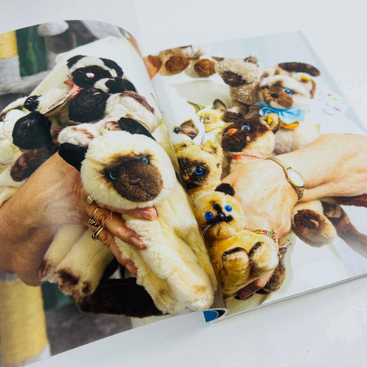 Catnip #2 - A Magazine For Cat People