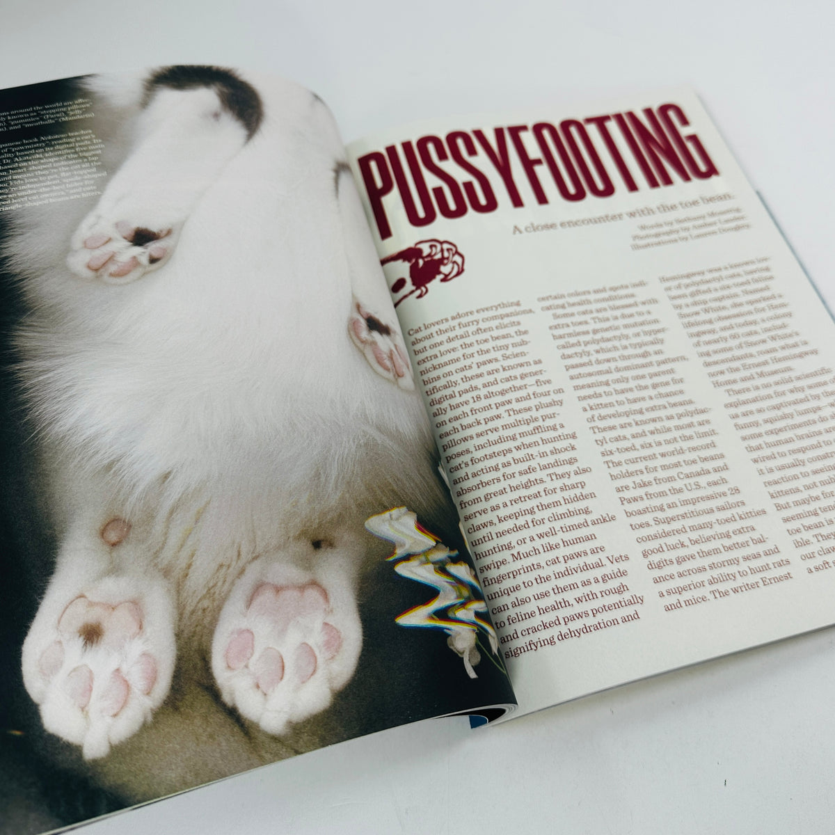 Catnip #2 - A Magazine For Cat People