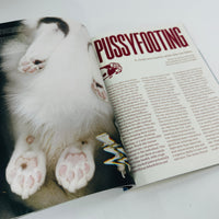 Catnip #2 - A Magazine For Cat People