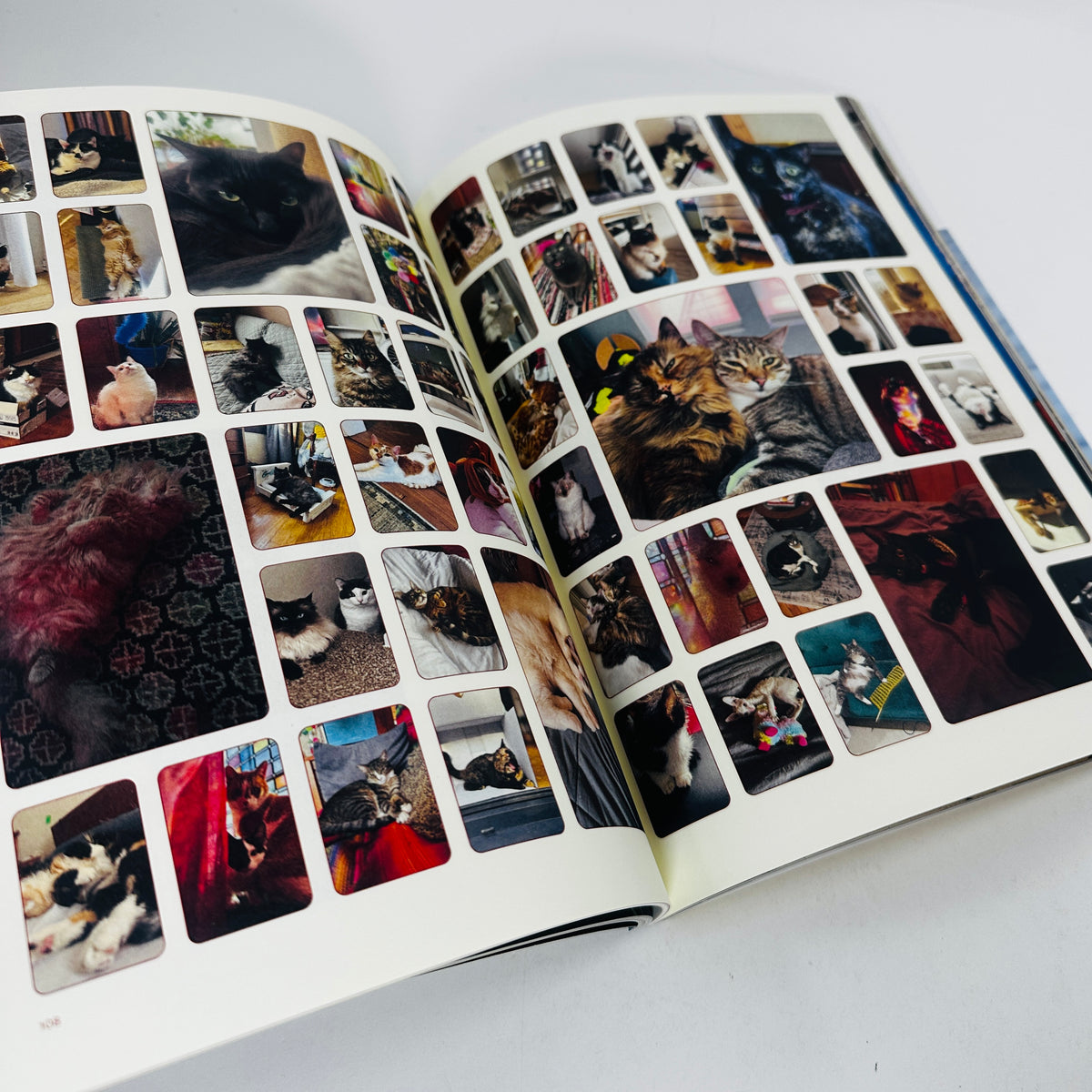 Catnip #2 - A Magazine For Cat People