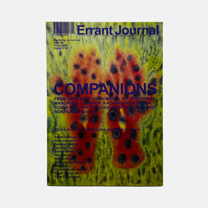 Errant #9 - Companions