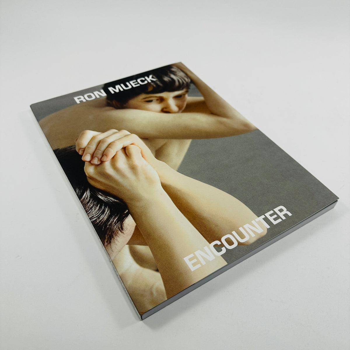 Encounter - Ron Mueck