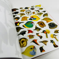 Extraordinary Things to Cut Out and Collage