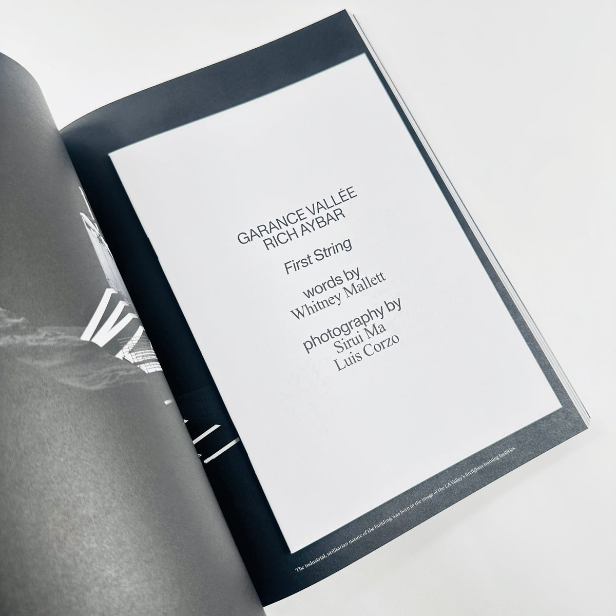 Flash Art Volumes #3 - Opacity