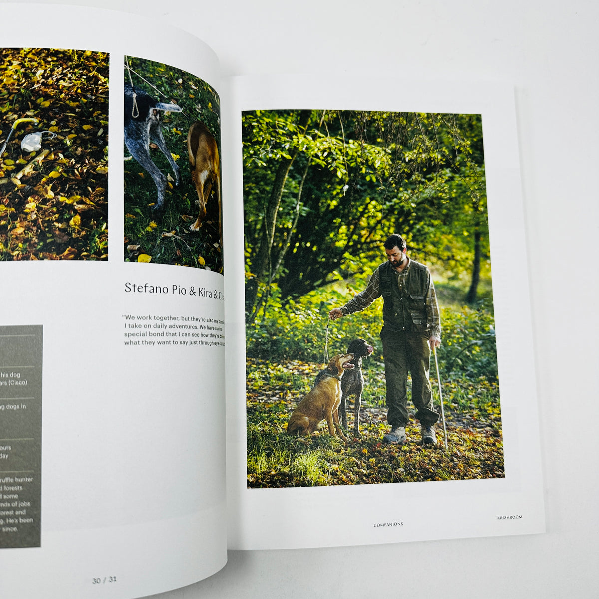 F Magazine #23 - Mushroom