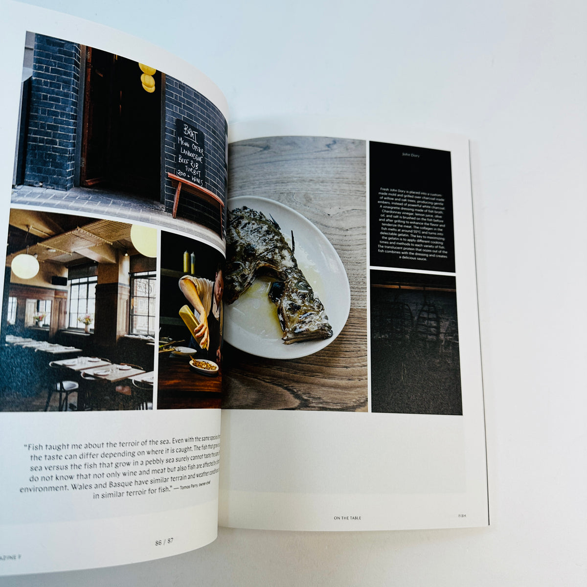 F Magazine #27 - Fish