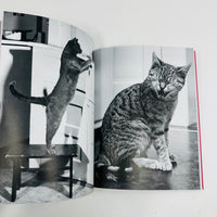 Family Cats - From The Archive 1949 - 1962