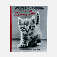 Family Cats - From The Archive 1949 - 1962