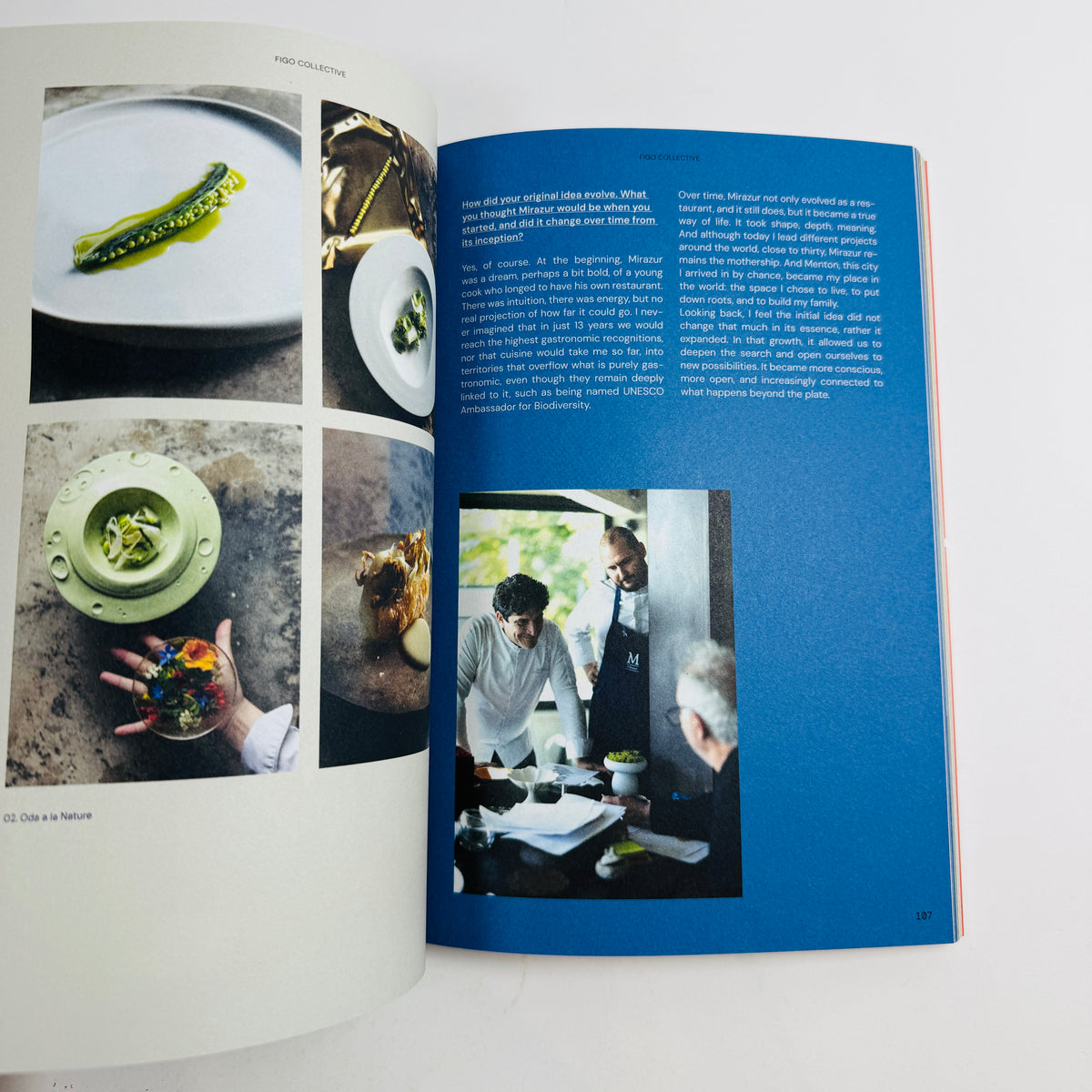 Figo Collective #5