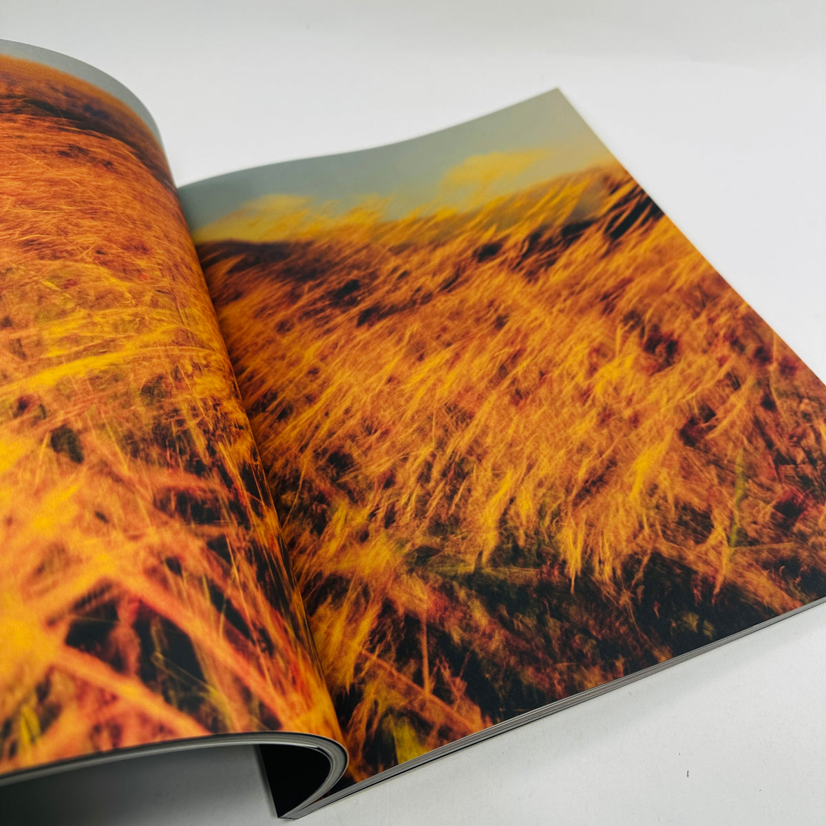 Footnote #2 - A Journal For Artistic Exchange
