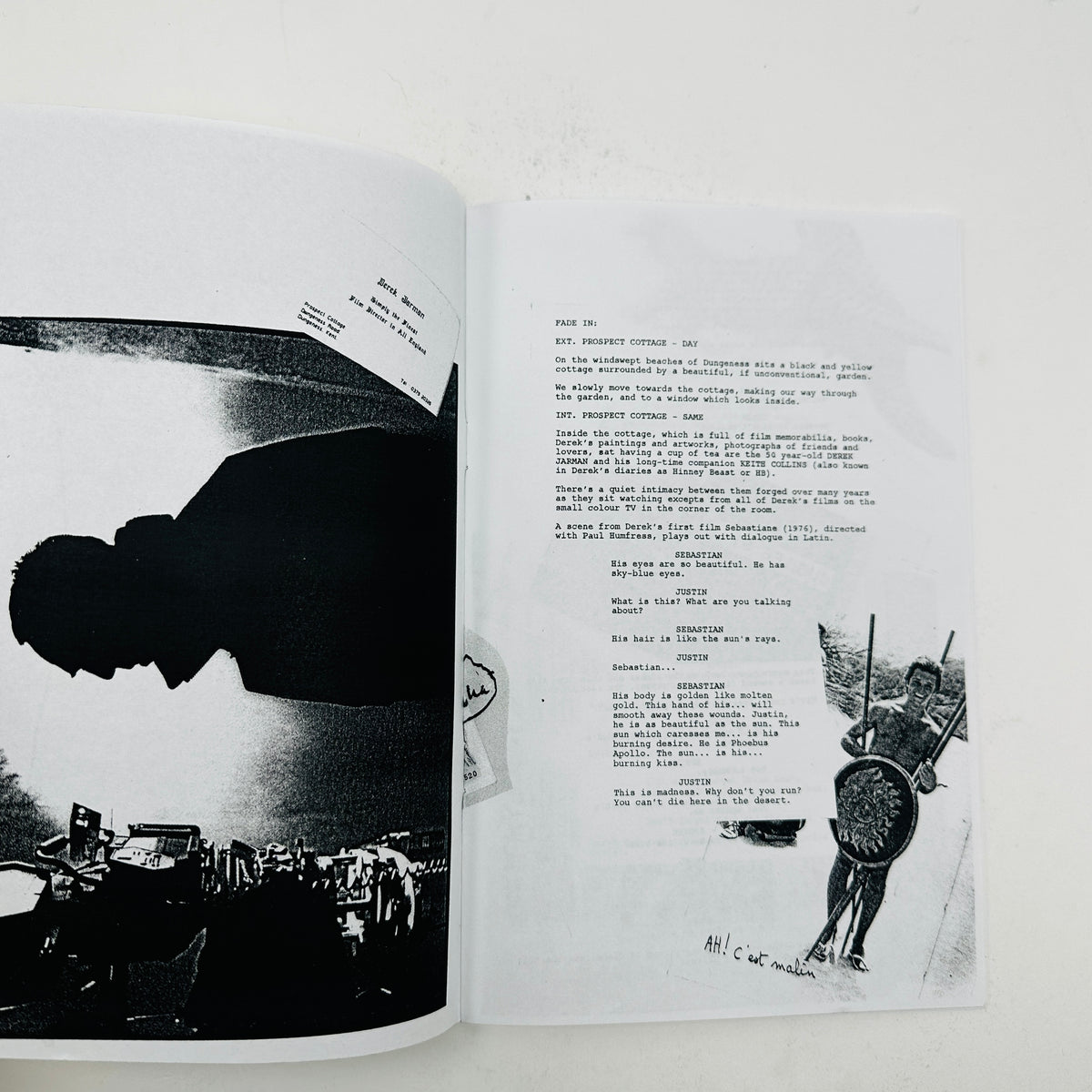 For the Love of Derek Jarman