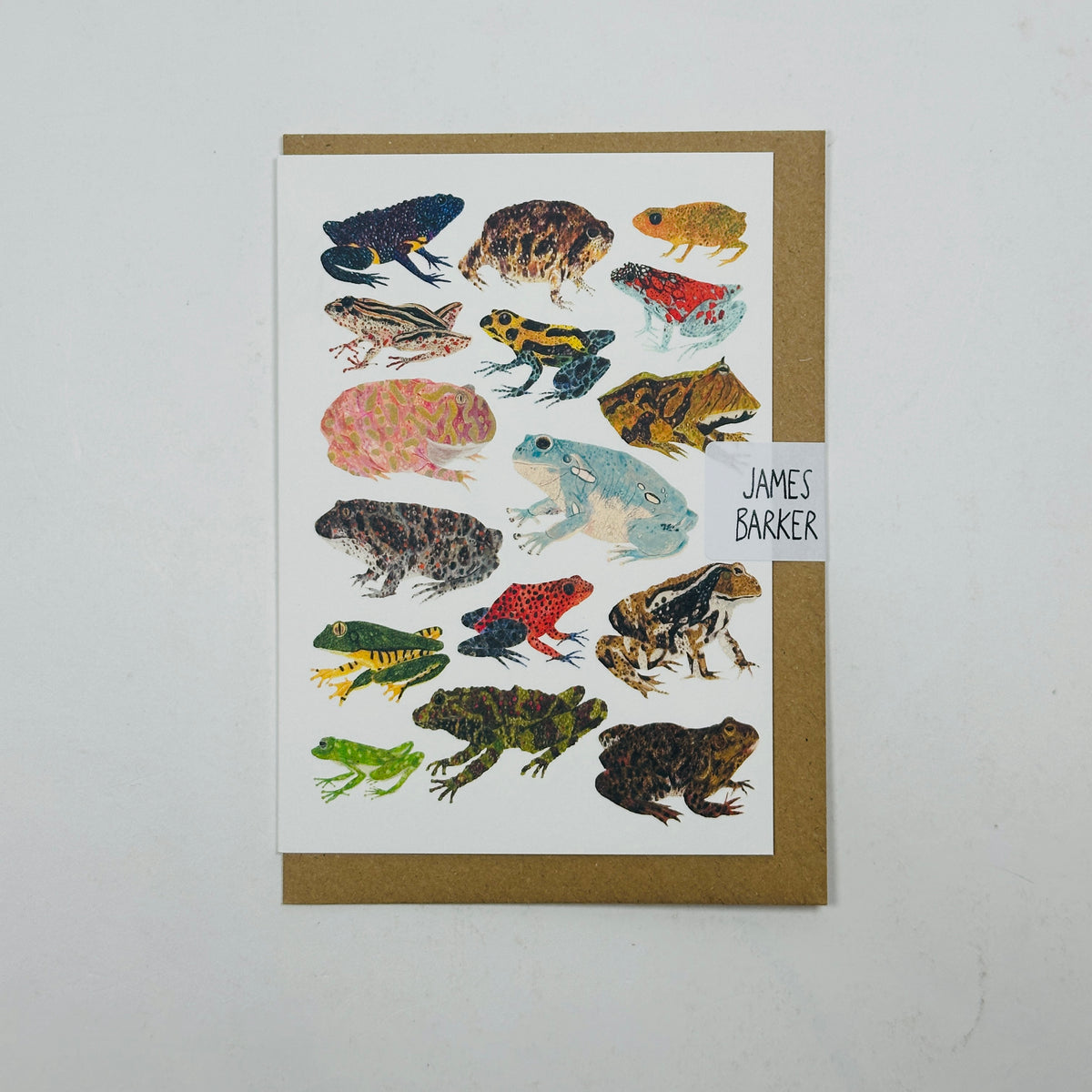 Frogs and Toads - James Barker Card