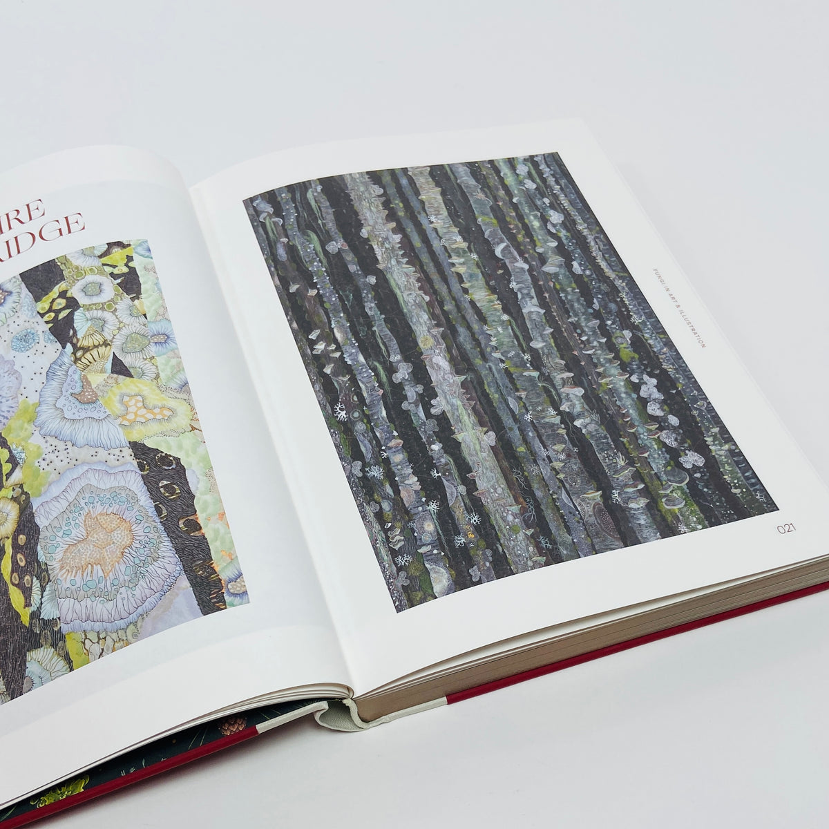 Fungal Inspiration - Art and Design Inspired by Wild Nature