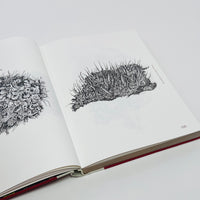 Fungal Inspiration - Art and Design Inspired by Wild Nature