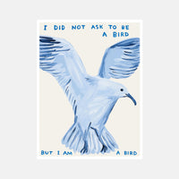 I Did Not Ask To Be a Bird - David Shrigley Poster