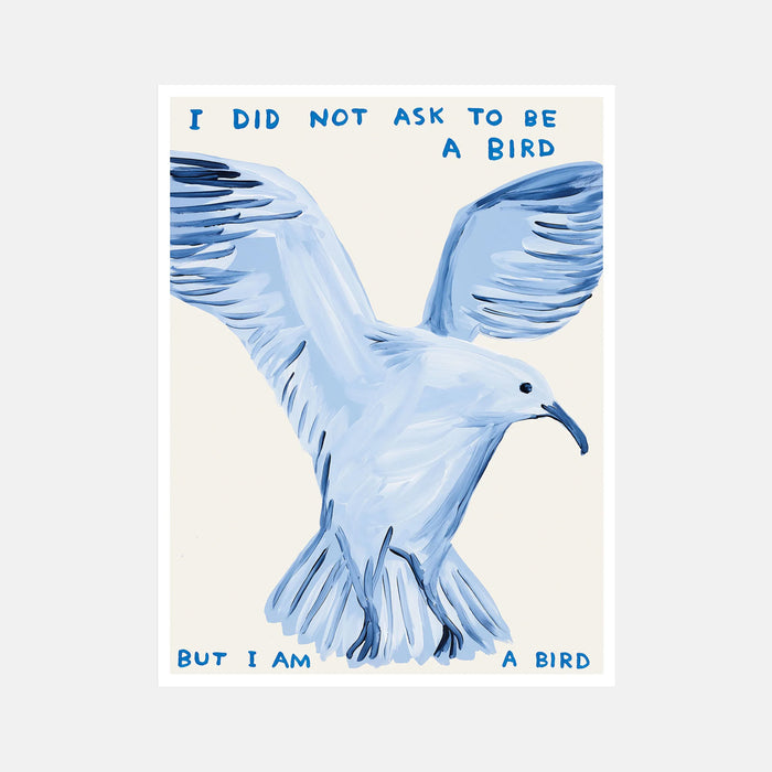 I Did Not Ask To Be a Bird - David Shrigley Poster