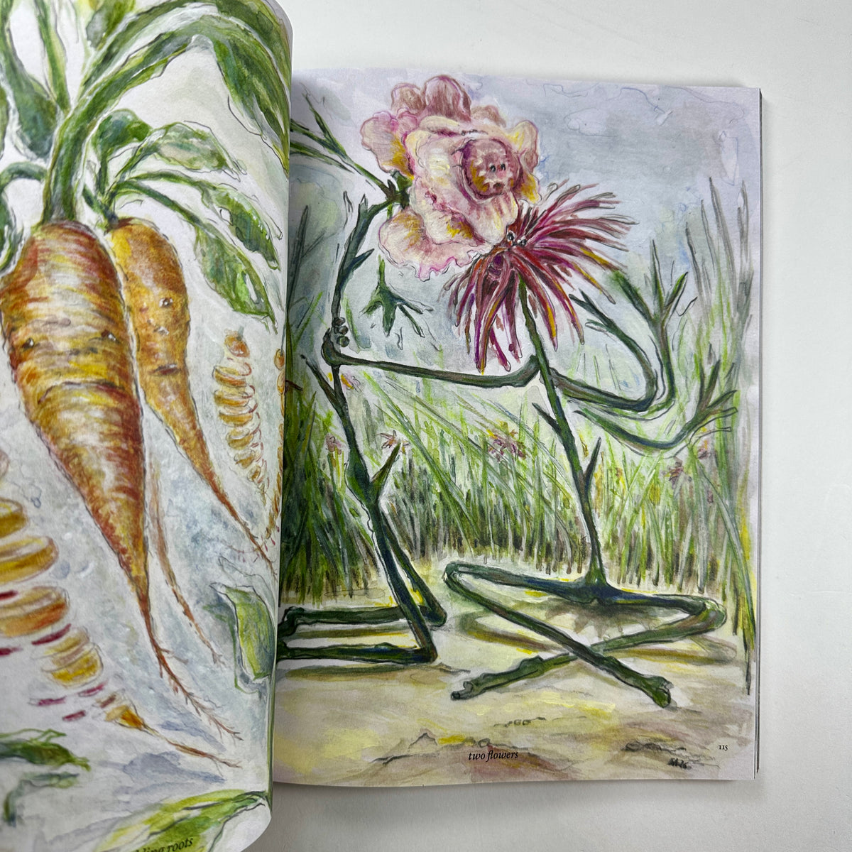 The Plant #25 - Spring/Summer 2026