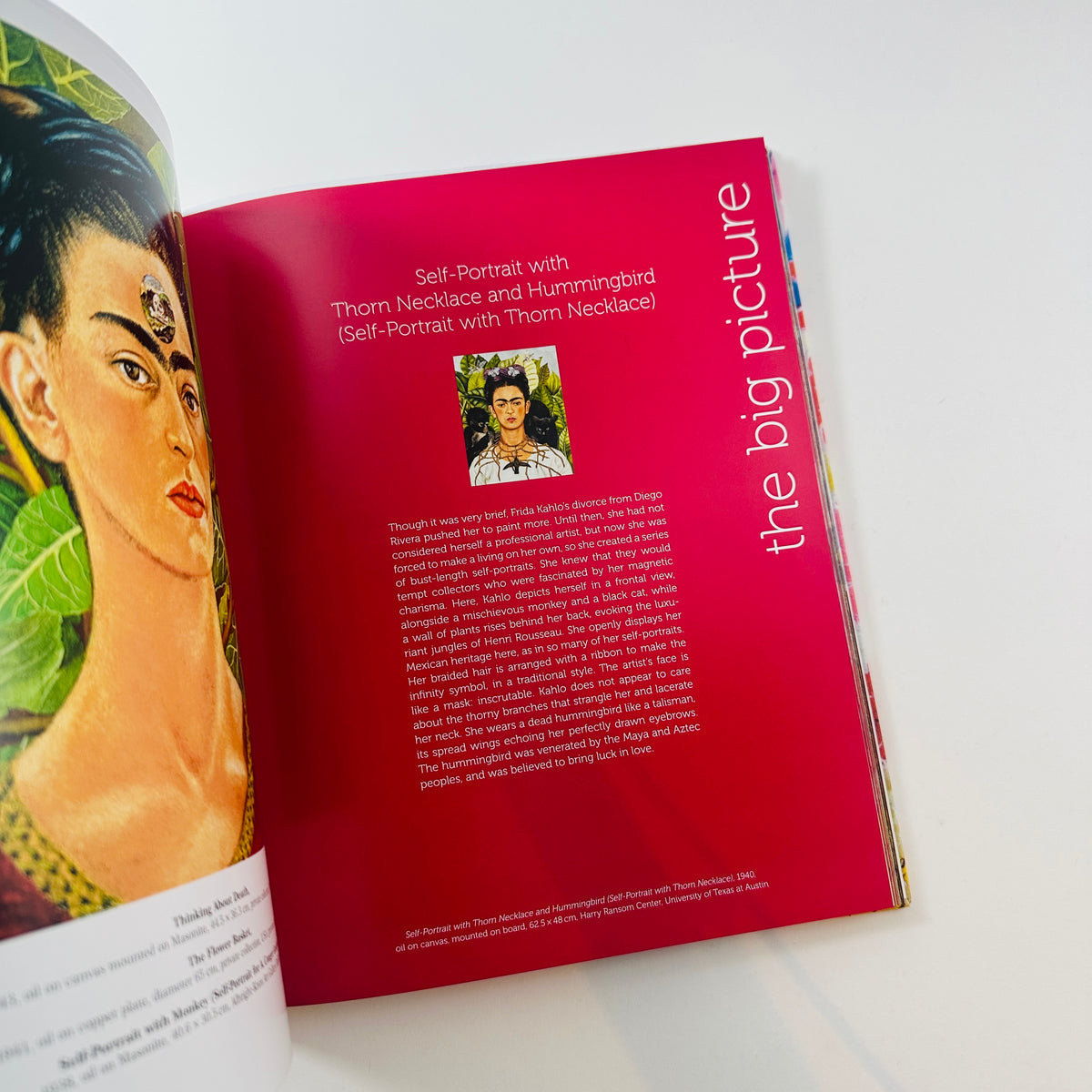 Kahlo - The Bigger Picture
