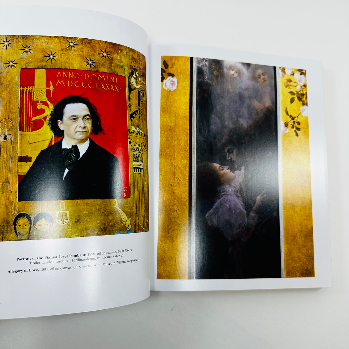 Klimt - The Bigger Picture